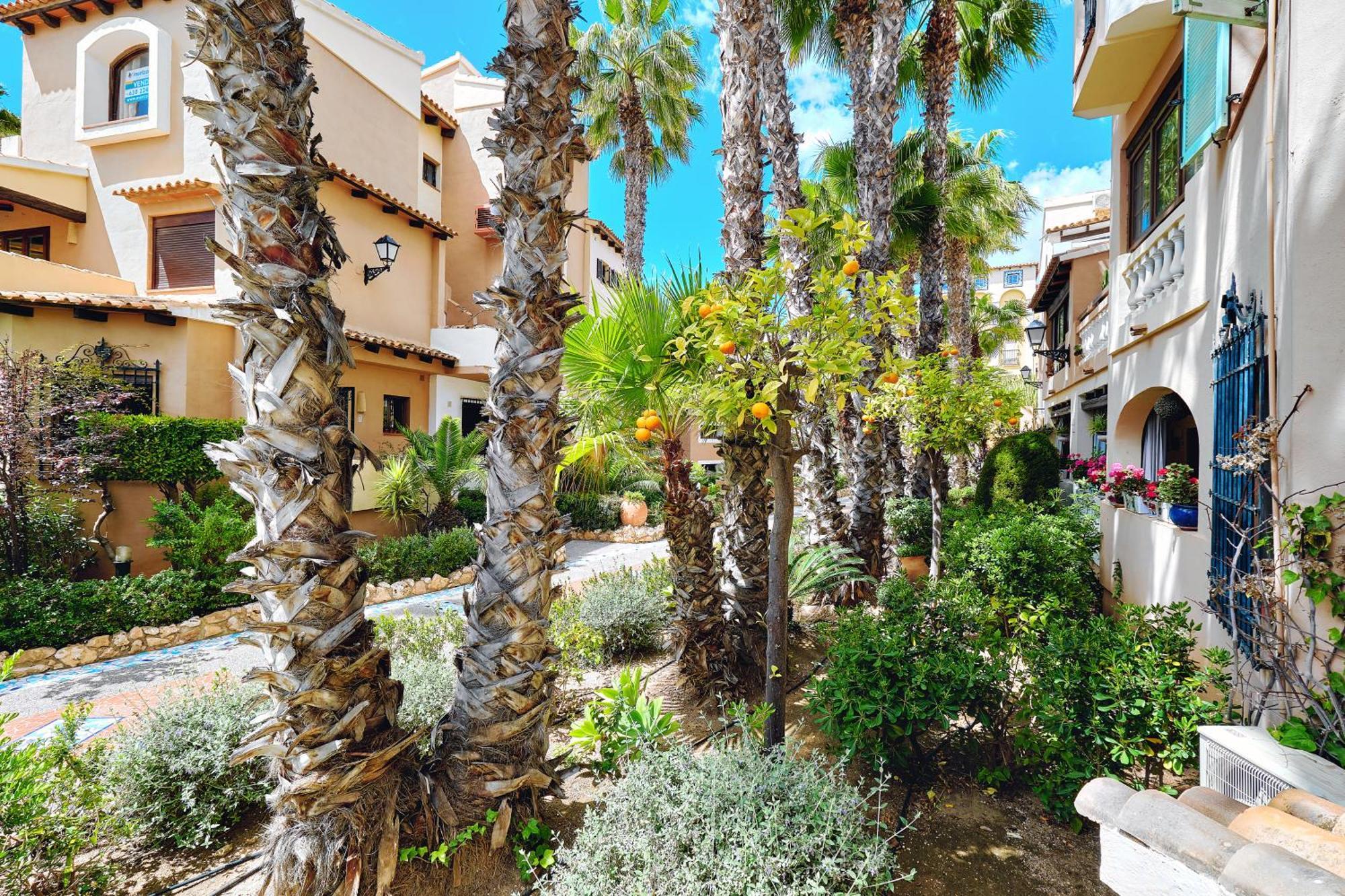 Apartamento Aldea Del Mar Торрев'єха Екстер'єр фото